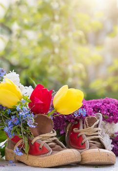 Vertical background bouquet of summer flowers in old shoes. Lilac tulips grow out of sneakers. Spring and summer floral background.