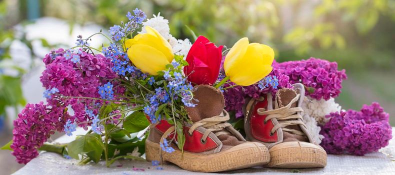 Banner of a bouquet of summer flowers in old shoes. Lilac tulips grow out of sneakers. Spring and summer floral background.