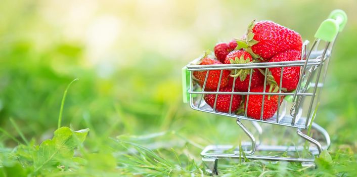 Cart with a supermarket with strawberries on the green grass. Banner beautiful summer berries.