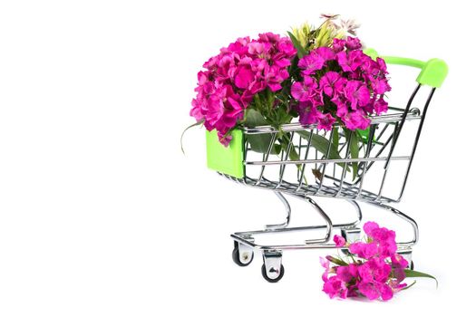 Supermarket trolley with flowers on a white background. Sale of flowers.