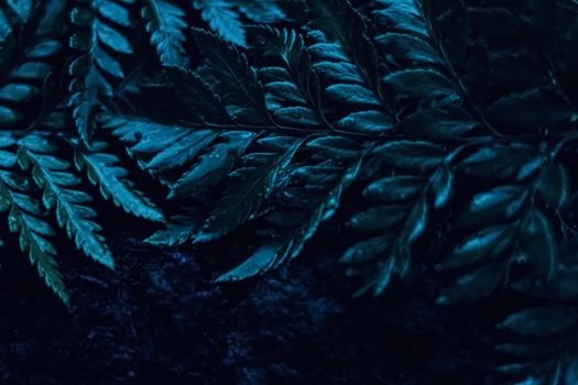 Blue plant leaves at night as surreal botanical background, minimal design backdrop