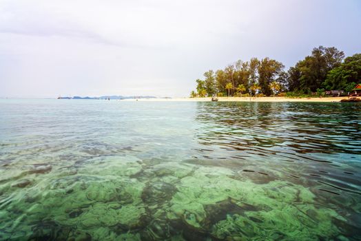 Beautiful nature landscape clear green sea in the morning, see shallow coral reefs and beach at North Point Beach, famous tourist attractions of Koh Lipe island, Tarutao National Park, Thailand