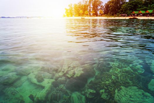 Beautiful nature landscape colorful the sunlight at the sunrise in summer over the clear sea, see the coral reef, beach, tree, resort at North Point Beach, Koh Lipe island, Tarutao, Satun, Thailand