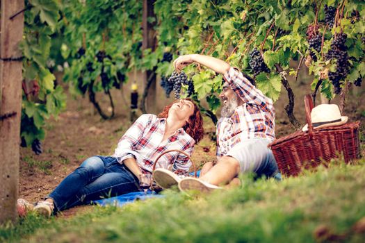 Beautiful cheerful couple having fun on picnic at a vineyard.