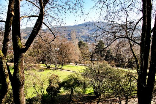 Beautiful garden surrounded by old houses in Guimaraes village in Portugal