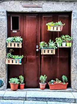 Brown wooden door with cactus and succulent pots in Portugal