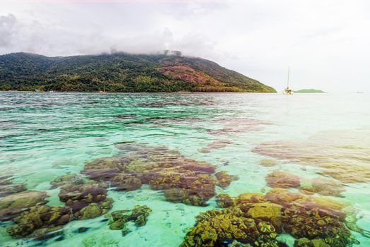 Beautiful nature landscape clear green sea water and shallow coral reefs of Koh Lipe, Ko Adang island background under morning sunlight during sunrise in summer, Tarutao National Park, Satun, Thailand