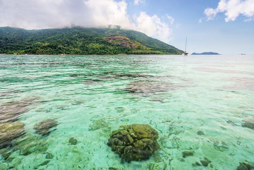 Beautiful nature landscape clear green sea water overlook the shallow coral reefs of Koh Lipe island, see Ko Adang island as a background at blue sky summer, Tarutao National Park, Satun, Thailand