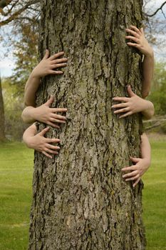 A conceptual image of several peoples arms hugging a large tree for several environmentalists ideas to illustrate.