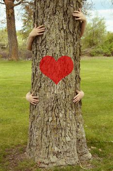 A conceptual image of several peoples arms hugging a large tree with a red heart shape for several environmentalists ideas to illustrate.