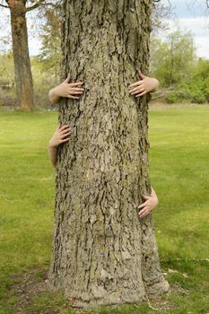 A conceptual image of several peoples arms hugging a large tree for several environmentalists ideas to illustrate.