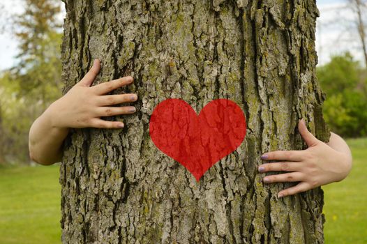 A conceptual image of several peoples arms hugging a large tree for several environmentalists ideas to illustrate.