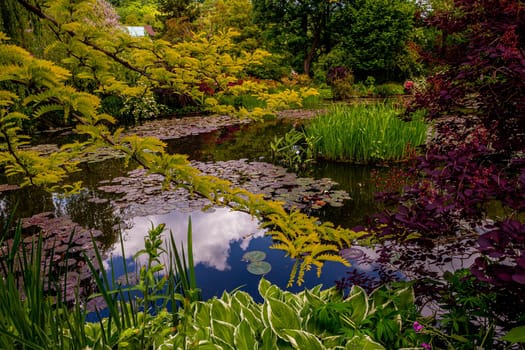 Pond, trees, and waterlilies in a french botanical garden
