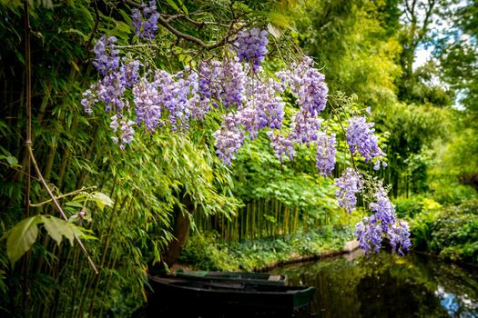 Pond, trees, and waterlilies in a french botanical garden