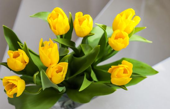 Bouquet of yellow tulips, top view. Perfect for greeting card background