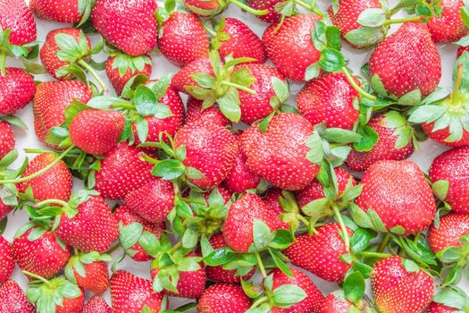 Ripe freshly picked strawberries background, top view