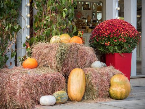 Autumn seasonal vegetables: orange and white pumpkins on the straw, with some small flowers and green leaves background