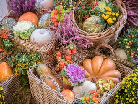 Autumn seasonal vegetables: orange, white and green pumpkins in wicker baskets, with flowers and green leaves