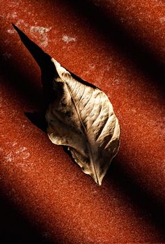 Dry leaf on the ground in the shadows of a grating. Vertical image.