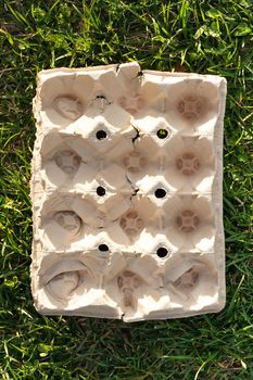 Egg cup viewed from above on the grass.