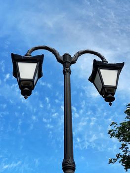 Street lamp against the background of a blossoming spring tree and blue sky.