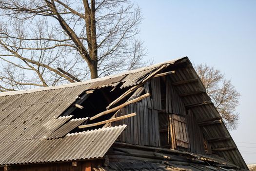 The roof of an old wooden ruined house among the bushes and grass