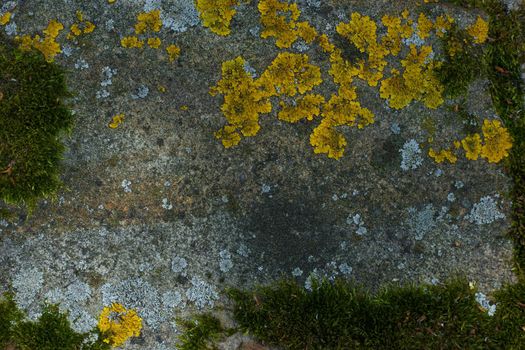 Close up of old weathered stone with moss and lichen. Woodland stone close up. Concept of background texture