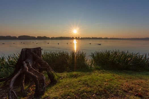 Landscape with a tree trunk resting on the bank of a river at sunrise