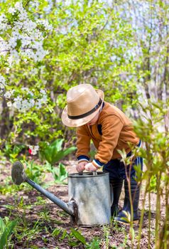 Cute little toddler boy in a hat and rubber boots is watering plants with a watering can in the garden. A charming little kid helping his parents grow vegetables. Active holidays with children