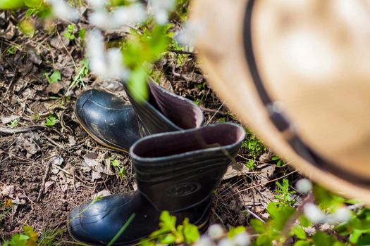 In the garden, on a tree with white cherry blossoms, there is a garden hat, and under it are boots. Gardening and gardening, Active recreation in the country