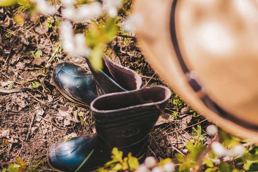 In the garden, on a tree with white cherry blossoms, there is a garden hat, and under it are boots. Gardening and gardening, Active recreation in the country