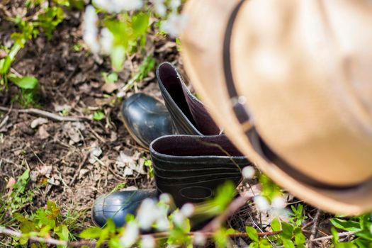 In the garden, on a tree with white cherry blossoms, there is a garden hat, and under it are boots. Gardening and gardening, Active recreation in the country