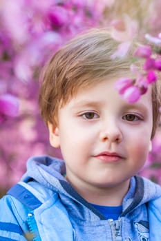 Portrait of a child in pink apple blossoms. Apple tree in bloom. Spring flowering of the apple orchard. Background for presentations, posters, banners, and greeting cards. Soft focus, nature background.