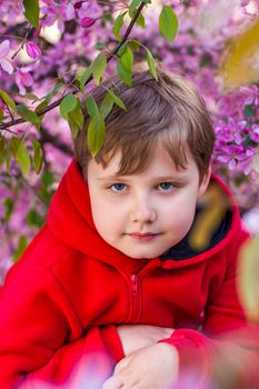 Portrait of a child in pink apple blossoms. Apple tree in bloom. Spring flowering of the apple orchard. Background for presentations, posters, banners, and greeting cards. Soft focus, nature background.