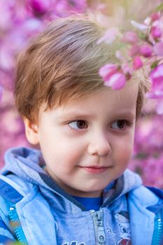 Portrait of a child in pink apple blossoms. Apple tree in bloom. Spring flowering of the apple orchard. Background for presentations, posters, banners, and greeting cards. Soft focus, nature background.