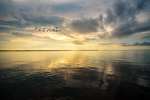 Beautiful nature landscape, bright golden sunlight in the sky and silhouette flock of birds flying for a living in the morning during the sunrise over Songkhla Lake, Phatthalung province, Thailand
