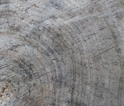 Background from cross section of tree trunk. Abstract texture from the rings of old weathered wood with a crack