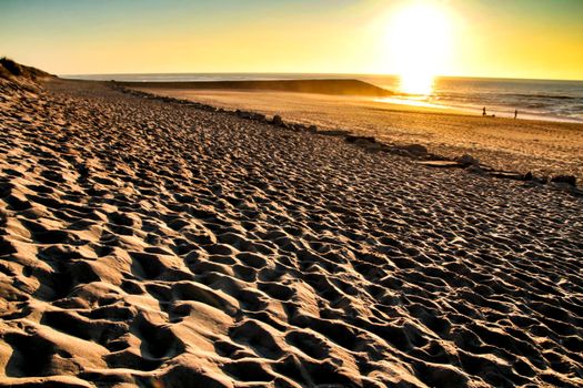 Beautiful beach with dunes and bushes in Aveiro, Porto, Portugal