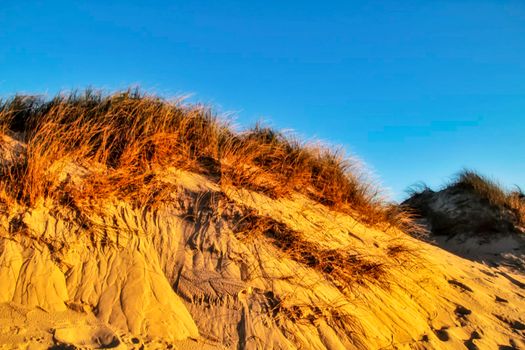 Beautiful beach with dunes and bushes in Aveiro, Porto, Portugal