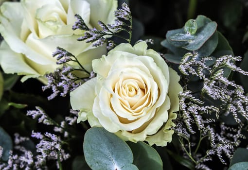 Bouquet of beautiful white roses. Perfect for greeting card background