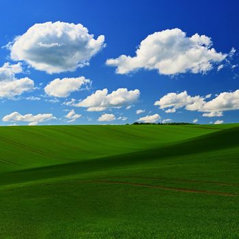 Beautiful spring landscape with blue sky, sun and clouds.
Green field with waves. Czech Republic Europe