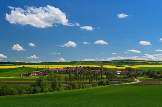 Beautiful spring landscape with blue sky and sun.
Czech Republic Europe