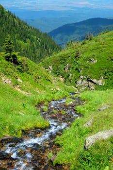 a mountain river flowing on Top of Mount Suru in Carpathian Mountains, Transylvania, Romania