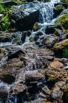 a mountain river flowing on Top of Mount Suru in Carpathian Mountains, Transylvania, Romania