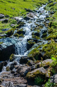 a mountain river flowing on Top of Mount Suru in Carpathian Mountains, Transylvania, Romania