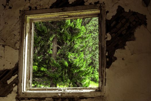 a pine forest visible through the broken walls and window frames of an old building