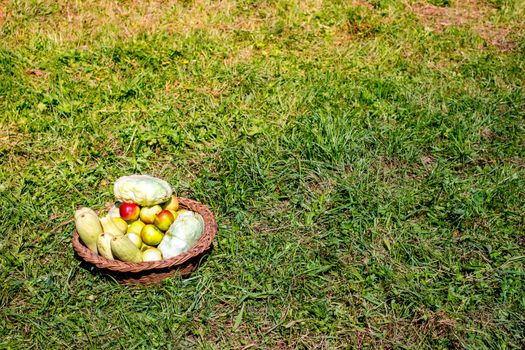 basket with fruits and vegetables in the grass
