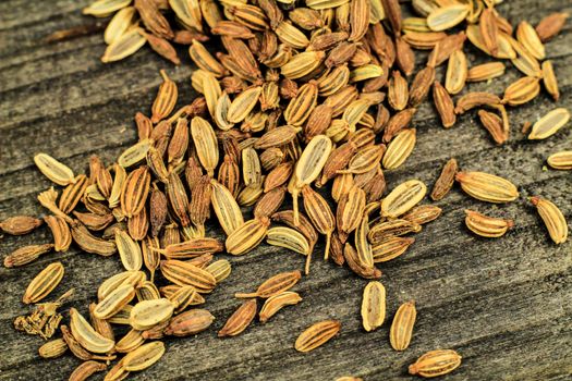 Organic dried fennel seeds on gray wooden board