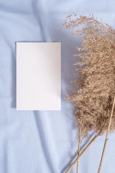 White blank paper card mockup with pampas dry grass on blue neutral colored textile