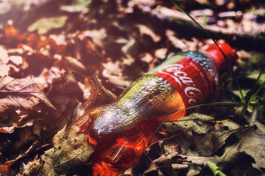 Sibiu, Romania - May 16, 2020. A plastic bottle of Coca Cola left in natural woodland